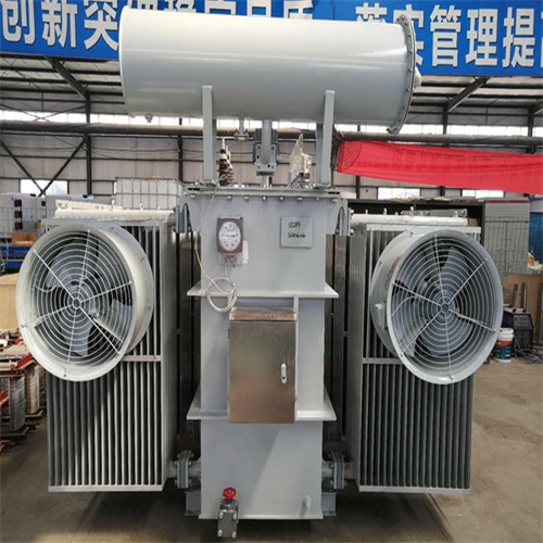 南平S22-8000KVA电力变压器